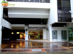 Cuppage Plaza (D9), Shop House #419263551